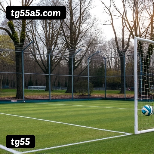 Vantagens exclusivas tg55 para jogadores brasileiros - São Paulo, Rio, BH