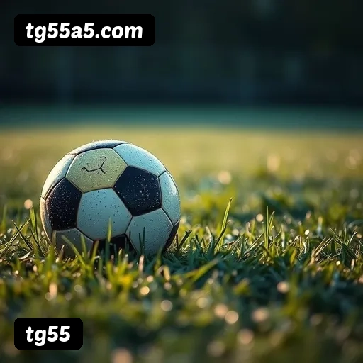 Comparação APP mobile vs versão web da tg55