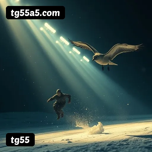 Estatísticas de bônus da tg55 em São Paulo, Rio de Janeiro e Brasília